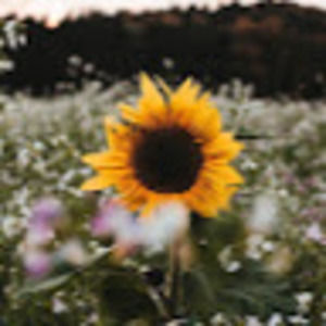 Meet your Posher, Celine